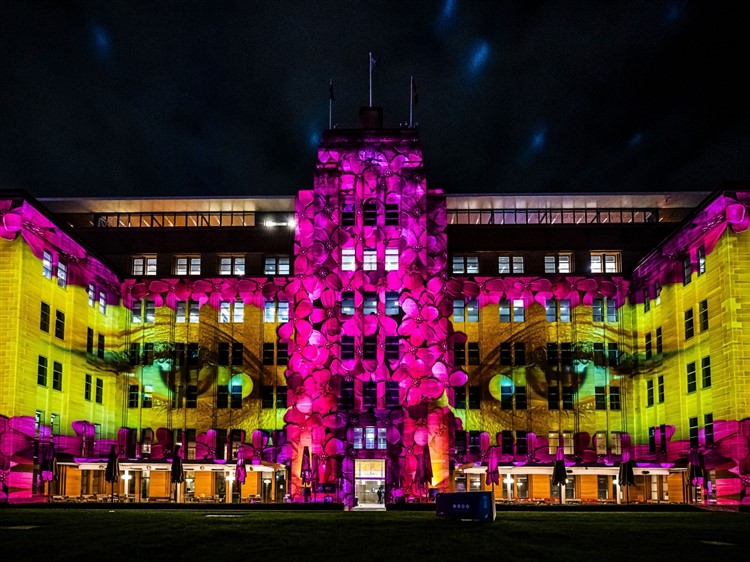 Vivid Sydney light festival and harbour sights Australian holiday tour