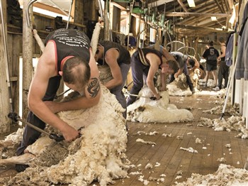 Boorowa Irish Woolfest