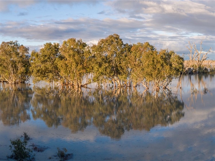 Menindee Lakes And Cameron Corner