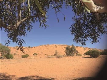 Outback Trek Birdsville To Alice