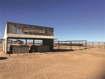 Outback Trek Birdsville To Alice