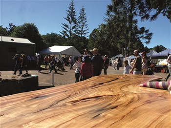 Maleny Wood Expo